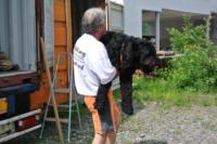 Hilfsgüter-Container für die Philippinen